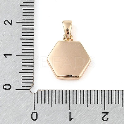 Brass Pave Shell Hexagon Charms KK-Q816-02G-1