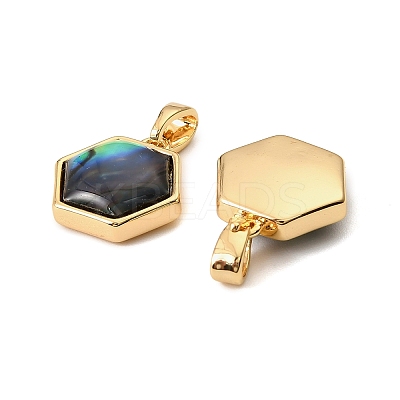 Natural Paua Shell Hexagon Charms KK-G538-30G-1