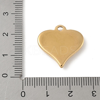 304 Stainless Steel Pendants STAS-P388-15G-1