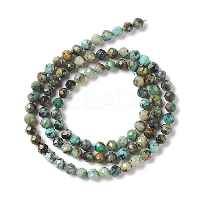 Natural African Turquoise(Jasper) Beads Strands LS-G-F717-01-1