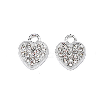 304 Stainless Steel Charms LS-STAS-N095-142-1