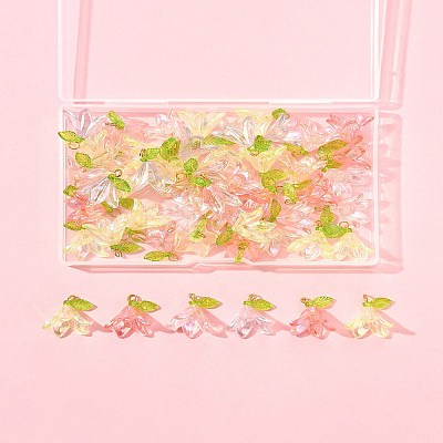 50Pcs Transparent Acrylic Pendants PALLOY-FS00043-04-1