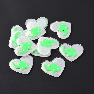 Acrylic Pendants FIND-A022-02F-1