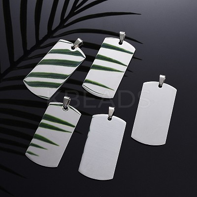 Tarnish Resistant 304 Stainless Steel Big Pendants LS-STAS-I140-19A-S-1
