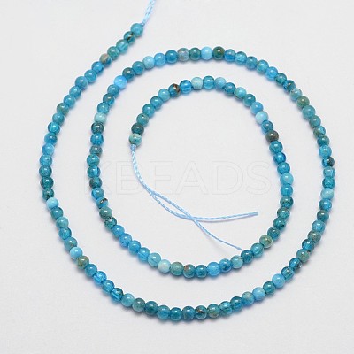 Natural Apatite Beads Strands X-G-D856-01-4mm-1