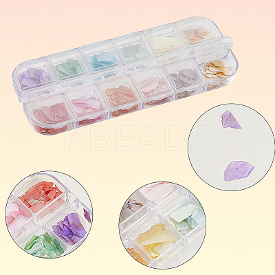 1 Set 12 Grid Nuggets Abalone Shell Nail Art Sequins for Woman Girls MRMJ-SP0001-06-1