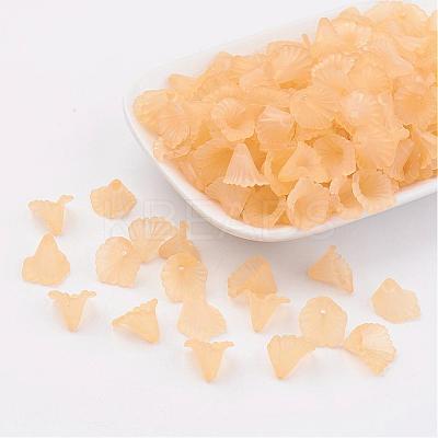 Transparent Acrylic Beads PL622-C06-1