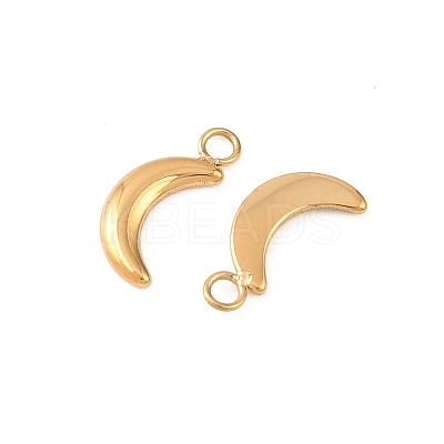 304 Stainless Steel Charms STAS-D390-23G-1