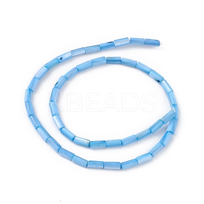 Natural Freshwater Shell Dyed Beads Strands SHEL-M018-11-06-1
