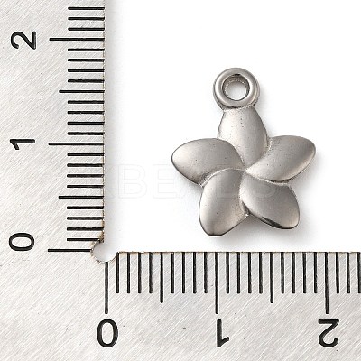 304 Stainless Steel Pendants STAS-M070-05P-1
