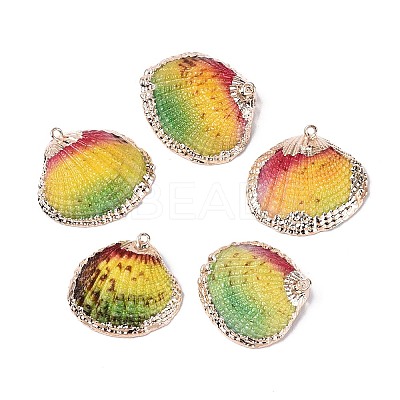 Spray Paint & Electroplate Natural Sea Shell Pendants SSHEL-N042-16C-1