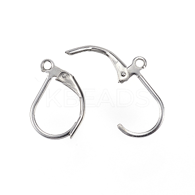 Tarnish Resistant 304 Stainless Steel Leverback Earring Findings LS-STAS-D448-042P-1