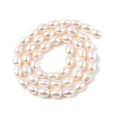 Natural Cultured Freshwater Pearl Beads Strands PEAR-I007-01C-01A-1