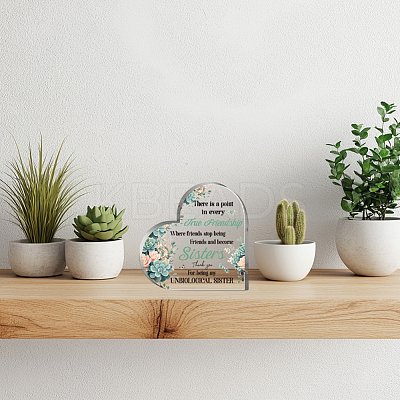 Acrylic Decoration DJEW-WH0591-005-1