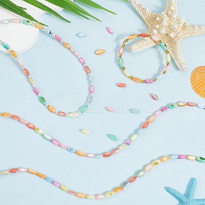 4 Strands Natural Freshwater Shell Dyed Beads Strands SHEL-SC0001-76-1