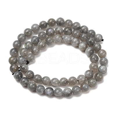 Natural Labradorite Beads Strands G-H326-01-6MM-1-1