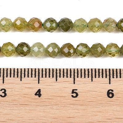 Natural Green Garnet Beads Strands G-B181-A01-4mm-1