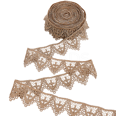 5 Yards Polyester Embroidery Lace Trim Ribbon OCOR-CY0001-23D-1