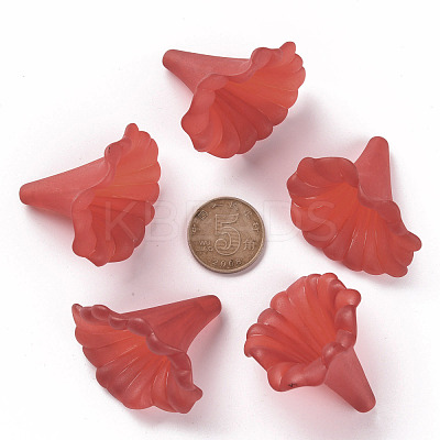 Transparent Acrylic Beads BSF796-C12-1