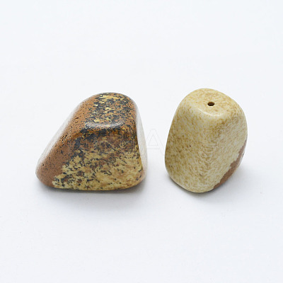 Natural Picture Jasper Beads G-H1462-07-1