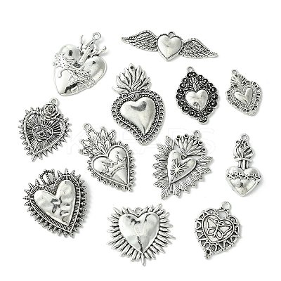 24Pcs 12 Styles Tibetan Style Alloy Pendantss FIND-CJ0002-38-1