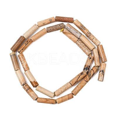 1 Strand Natural Picture Jasper Column Beads Strands G-YW0002-54-1