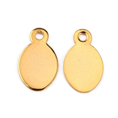 30Pcs 6 Style Ion Plating(IP) 304 Stainless Steel Charms STAS-FS0001-13G-1