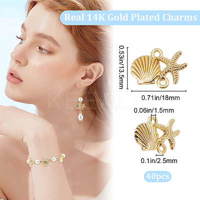40Pcs Ocean Theme Alloy Connector Charms FIND-BBC0002-96-1