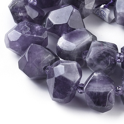 Natural Amethyst Beads Strands G-F653-10-1
