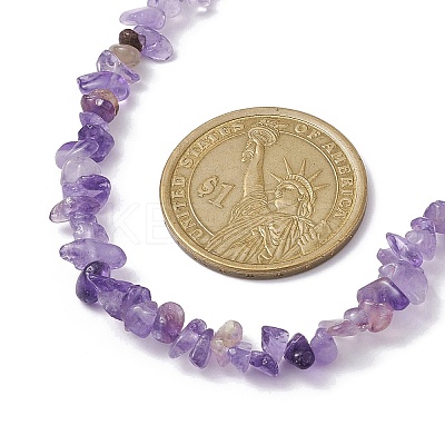 Natural Amethyst Chip Beaded Necklace NJEW-JN04616-06-1