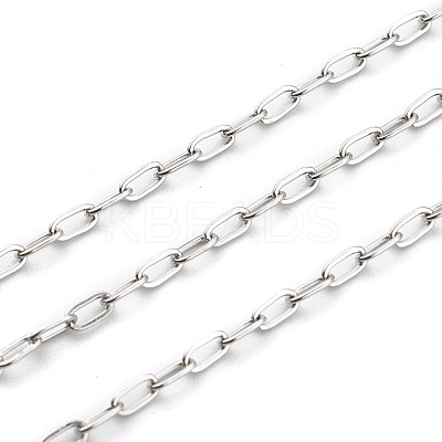 Non-Tarnish 304 Stainless Steel Paperclip Chains STAS-H111-04P-A-1