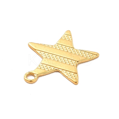 Ion Plating(IP) 304 Stainless Steel Pendants STAS-F282-05G-1