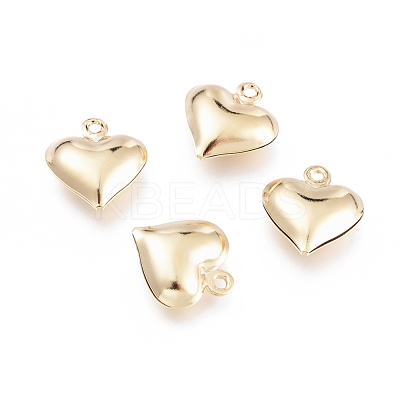 304 Stainless Steel Charms STAS-H413-16G-1