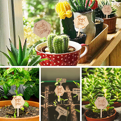 Plant Labels WOOD-GA0001-19-1