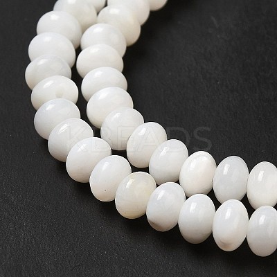 Natural Freshwater Shell Beads Strands BSHE-E026-15B-02-1