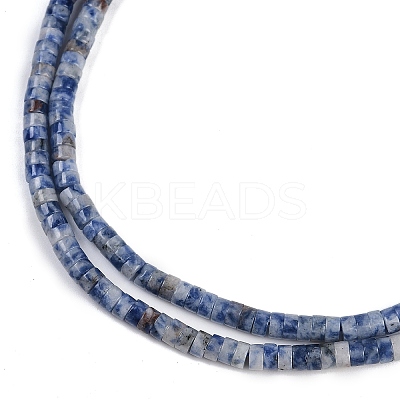 Natural Blue Spot Jasper Beads Strands G-H230-56-1