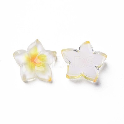 Transparent Epoxy Resin Cabochons CRES-S365-23A-1