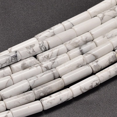 Natural Howlite Column Beads Strands G-F247-07-1