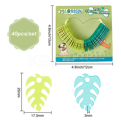 Transparent Blank Acrylic Pet Dog ID Tag PALLOY-AB00042-1
