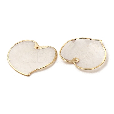 Natural Capiz Shell Pendants SSHEL-H071-02G-01-1