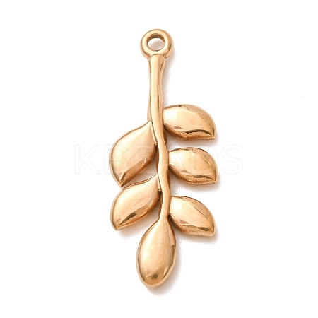 304 Stainless Steel Pendants SA-CBAB6EC-19G-01-1