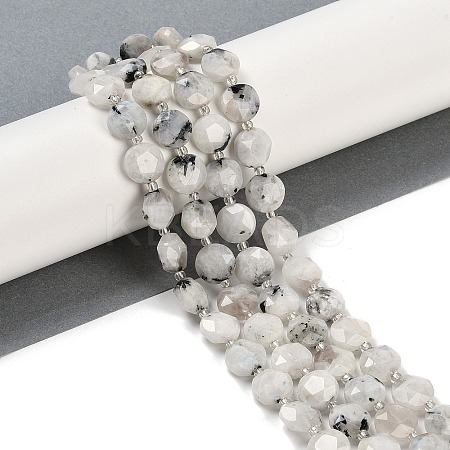Natural Rainbow Moonstone Beads Strands G-C116-A15-01A-1