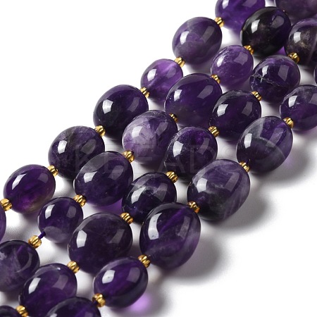 Natural Amethyst Beads Strands G-B028-B10-1