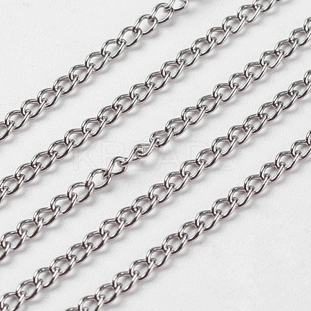 304 Stainless Steel Twist Chains CHS-R004-0.3mm-1