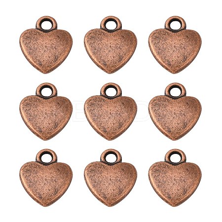 Tibetan Style Alloy Charms LS-RLF1170Y-1