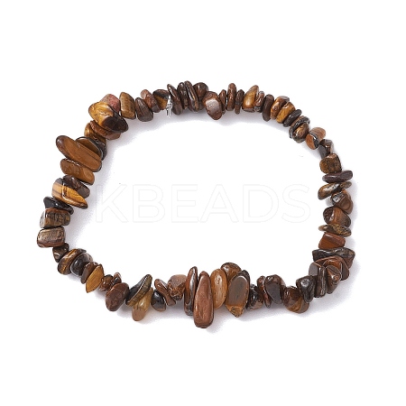 Natural Tiger Eye Chip Beaded Stretch Bracelets for Women Men BJEW-JB10647-01-1