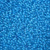 11/0 Grade A Round Glass Seed Beads SEED-N001-D-221-2