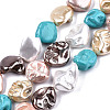 Electroplated Natural Freshwater Shell Beads Strands SHEL-R113-01-2