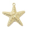 Alloy Big Pendants X-FIND-H055-13G-1