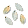 Natural Rainbow Alashan Agate Pendants G-G194-03C-1